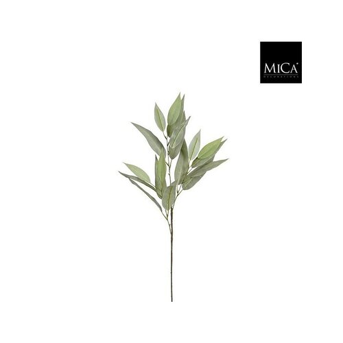 Mica Eucalyptustak l78cm groen