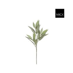 Mica Eucalyptustak l78cm groen