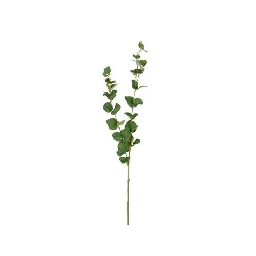 Mica Eucalyptustak l94cm groen