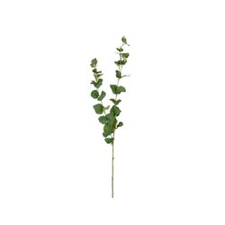 Mica Eucalyptustak l94cm groen