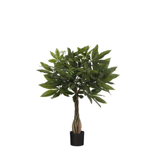 Mica Pachira in pot d60h60cm groen