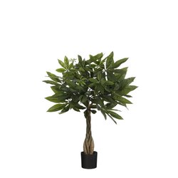 Mica Pachira in pot d60h60cm groen