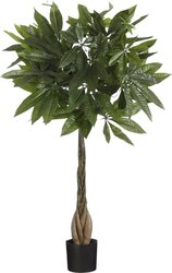 Mica Pachira in pot d60h80cm groen
