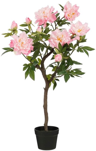 Mica Pioen in pot l40b50h96cm roze