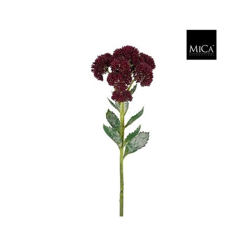 Mica Sedumsteel l57b12h12cm paars