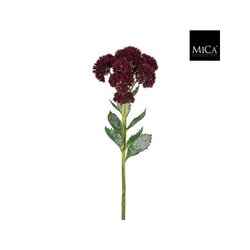 Mica Sedumsteel l57b12h12cm paars