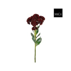 Mica Sedumsteel l57b12h12cm rood