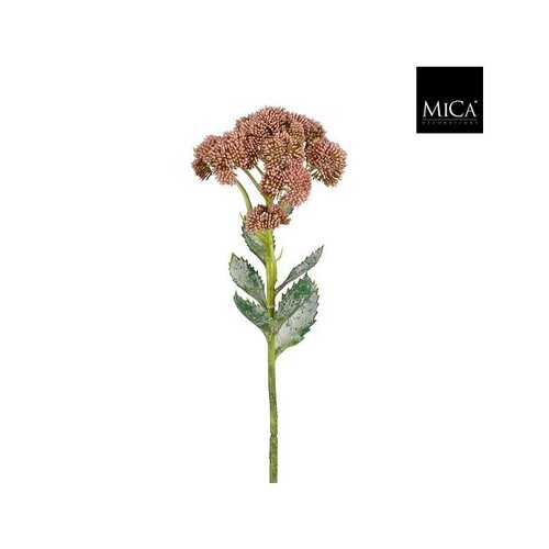Mica Sedumsteel l57b12h12cm roze
