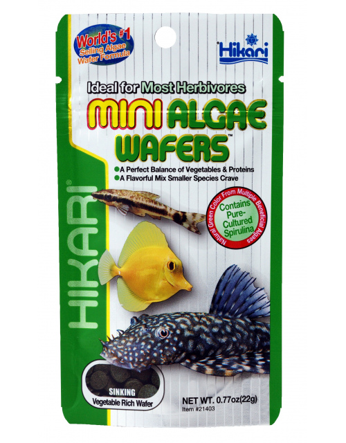 Mini Algae Wafers 22 Gram