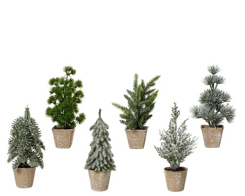 Everlands Mini boom 6ass binnen L.8cm x W.8cm x H.20cm
