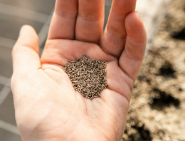 Moestuinieren & Zaden