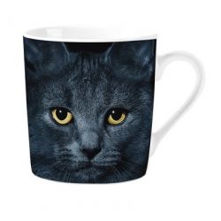 Mok PG Black Cat's Eyes