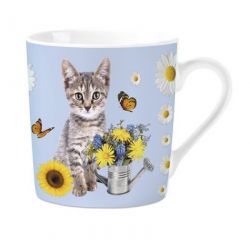 Mok PG Grey Tabby Cat