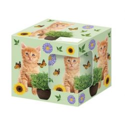 Mok PG Orange Tabby Kitten - afbeelding 2