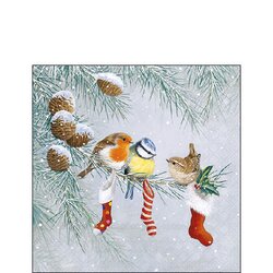 Napkin 25 Christmas socks FSC Mix