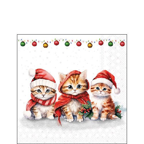 Napkin 25 Funny cute kittens FSC Mix