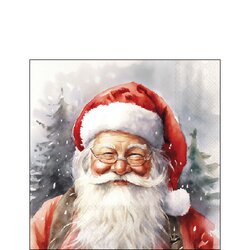 Napkin 25 Happy Santa FSC Mix