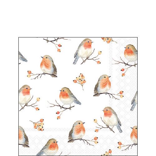 Napkin 25 Robin family FSC Mix
