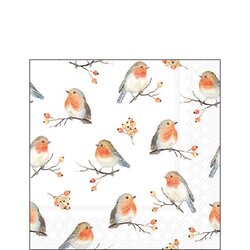Napkin 25 Robin family FSC Mix