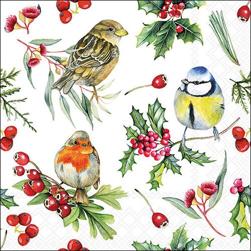 Napkin 33 Birds in winter FSC Mix