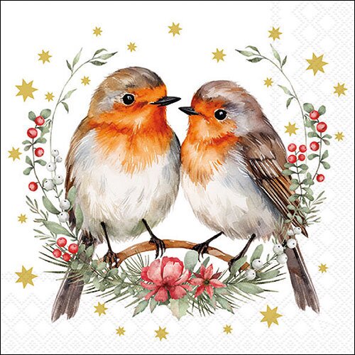 Napkin 33 Couple of robins FSC Mix