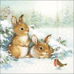 Napkin 33 Friends in snow FSC Mix
