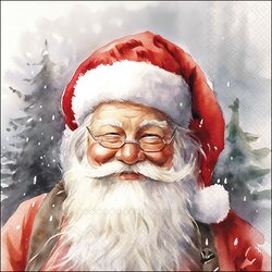 Napkin 33 Happy Santa FSC Mix