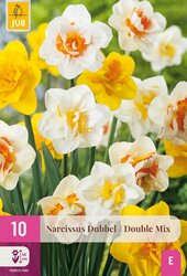 Narcissen dubbel mix 10st - afbeelding 1