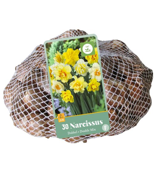 Narcissen dubbel mix 30st - afbeelding 1