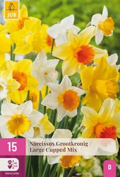 Narcissus grootkronig mix 15st - afbeelding 1