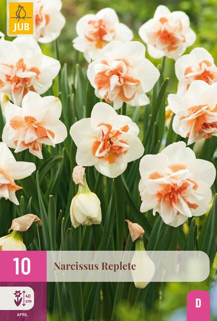 Narcissus replete 10st - afbeelding 1