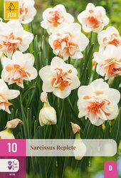 Narcissus replete 10st - afbeelding 1