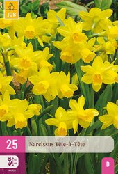 Narcissus tete-a-tete 25st - afbeelding 1