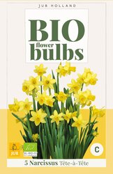 Narcissus tete-a-tete 5st - afbeelding 1