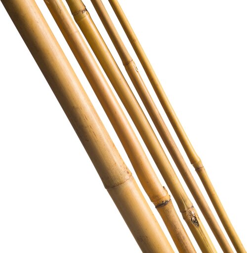 Nature Bamboestok Naturel H120cm - Ø10-12mm - 5 stuks - afbeelding 1