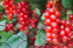 Nature beschermnet B10 x L2m zwart - afbeelding 4