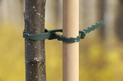 Nature bindband met rattenstaartsluiting groen 17cm - 40 stuks - afbeelding 2