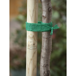 Nature Boomband groen - 4cm x 2m - afbeelding 4