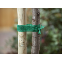 Nature Boomband groen - 4cm x 2m - afbeelding 3