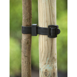 Nature Boomband met Gesp - 45 x 2,5cm - afbeelding 3