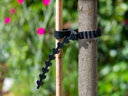 Nature Boomband met rattenstaartsluiting 57 x 2,25cm - 2 stuks - afbeelding 2