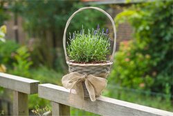 Nature juteband H10cmx25m naturel - afbeelding 6