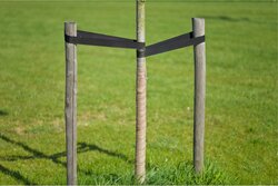 Nature juteband H10cmx25m naturel - afbeelding 5
