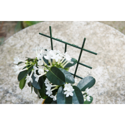 Nature Kamerplantenrekjes 28 x 17cm - 2 stuks - afbeelding 4