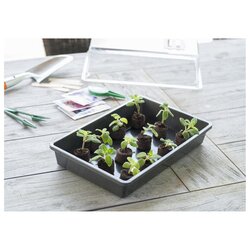 Nature Kweekbak h7,5 x 55 x 31cm antraciet - afbeelding 2