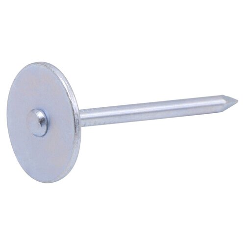 Nature Nagels plat d20mm 3.1x40mm 10st