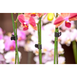 Nature orchidee clips zwart 10 stuks - afbeelding 3