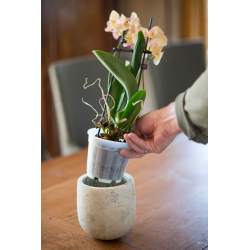 Nature Orchidee Pot Transparant - Ø12cm - afbeelding 3