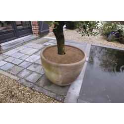 Nature Plantbeschermingsschijf Kokos Ø30cm - 3 stuks - afbeelding 2