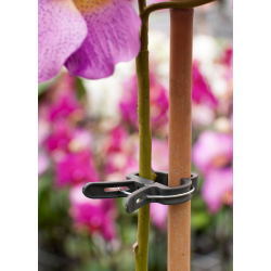Nature - Plantenclip - Ø24mm - 10 stuks - afbeelding 2